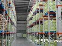 塑料托盘_食品饮料医药行业塑料托盘_青岛塑料托盘生产厂家